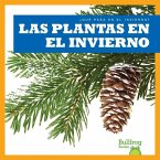 Las Plantas En El Invierno (Plants in Winter)