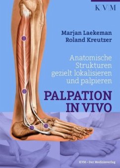 Cover Palpation in Vivo
