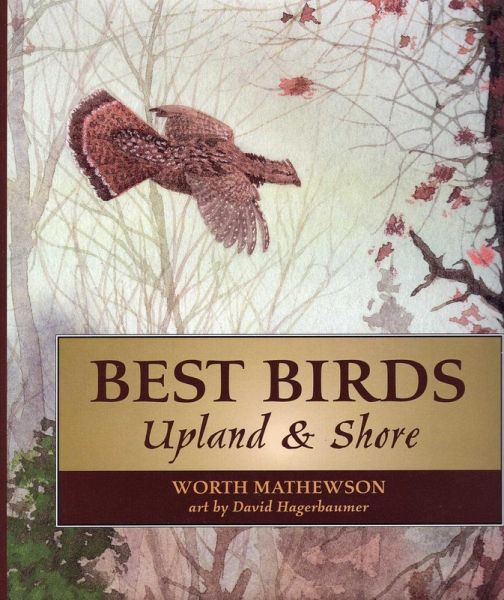 Best Birds Upland and Shore (eBook, ePUB)