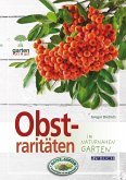 Obstraritäten (eBook, ePUB)