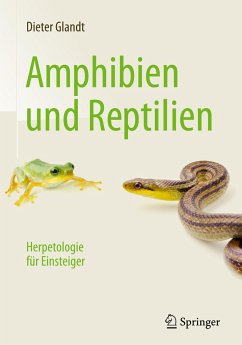 Amphibien und Reptilien - Glandt, Dieter
