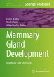 Mammary Gland Development - Bild 1