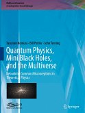 Quantum Physics, Mini Black Holes, and the Multiverse