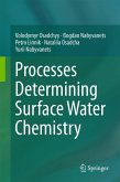 Processes Determining Surface Water Chemistry