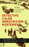 DETECTIVE CALEB SWEETWATER MYSTERIES (eBook, ePUB)