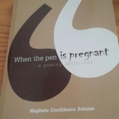 Cover When the pen is pregnant (eBook, ePUB)