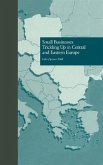 Small Businesses Trickling Up in Central and Eastern Europe (eBook, ePUB)