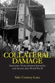 Collateral Damage (eBook, ePUB)