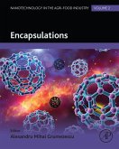 Encapsulations (eBook, ePUB)