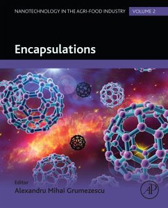 Cover Encapsulations (eBook, ePUB)