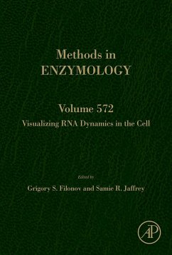 Cover Visualizing RNA Dynamics in the Cell (eBook, ePUB)