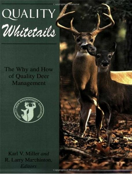Quality Whitetails (eBook, ePUB)