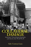 Collateral Damage (eBook, PDF)