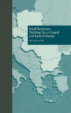 Cover Small Businesses Trickling Up in Central and Eastern Europe (eBook, PDF)