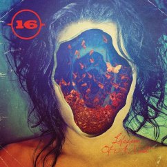 Lifespan Of A Moth - 16 Lifespan Of A Moth - 16