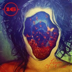 Lifespan Of A Moth - 16