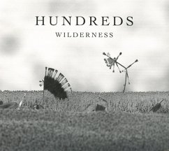 Wilderness - Hundreds