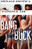 Bang for a Buck (eBook, ePUB)