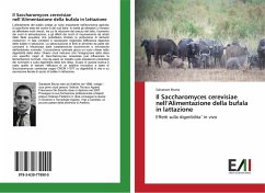 Il Saccharomyces cerevisiae nell¿Alimentazione della bufala in lattazione