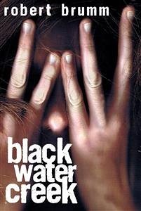 Black Water Creek (eBook, ePUB) - Brumm, Robert