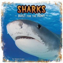 Cover Sharks