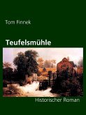 Teufelsmühle (eBook, ePUB)