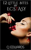 12 Little Bites of Ecstasy (eBook, ePUB)