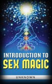 Introduction to sex magic (eBook, ePUB)