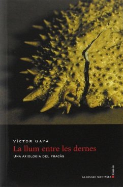 Cover La llum entre les dernes : Una axiologia del fracàs