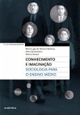 Conhecimento e imaginação (eBook, ePUB)