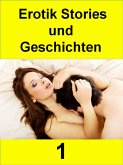 Erotik Stories und Geschichten 1 - 331 Seiten (eBook, ePUB)