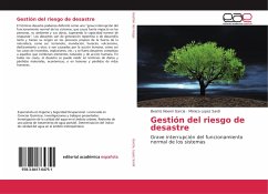 Gestión del riesgo de desastre - Garcia, Beatriz Noemí;Lopez Sardi, Mónica