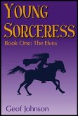 Young Sorceress (eBook, ePUB)