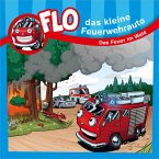 Das Feuer im Wald - Flo-Minibuch (1)