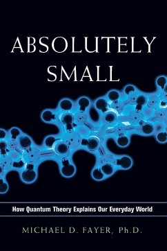 Absolutely Small - Fayer, Michael D.