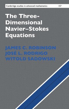 The Three-Dimensional Navier-Stokes Equations - Robinson, James C.; Rodrigo, José L.; Sadowski, Witold