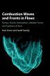 Combustion Waves and Fronts in Flows - Bild 1