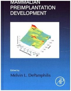 Mammalian Preimplantation Development
