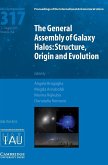 The General Assembly of Galaxy Halos (IAU S317)