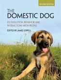 The Domestic Dog