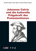Johannes Calvin und die kulturelle Prägekraft des Protestantismus (eBook, PDF)