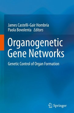 Organogenetic Gene Networks