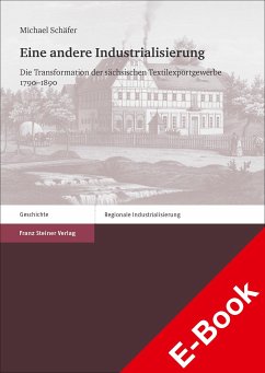 Eine andere Industrialisierung (eBook, PDF) - Schäfer, Michael