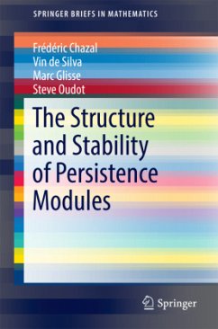 The Structure and Stability of Persistence Modules - Chazal, Frédéric;de Silva, Vin;Glisse, Marc