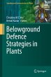 Belowground Defence Strategies in Plants - Bild 1