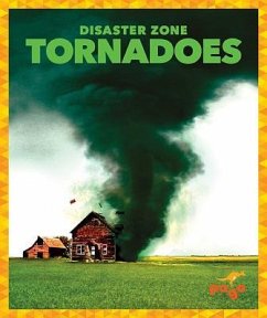 Tornadoes - Meister, Cari