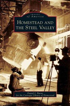 Homestead and the Steel Valley - Burns, Daniel J.