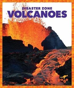 Volcanoes - Meister, Cari
