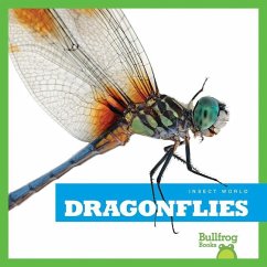 Dragonflies - Schuh, Mari C