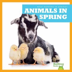 Animals in Spring - VanVoorst, Jennifer Fretland